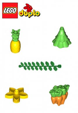 LEGO® DUPLO® Bloemen en planten