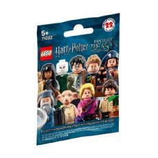 LEGO® Harry Potter Minifigs (71022)