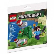 LEGO® 30393 Minecraft Steve en Creeper (Polybag)