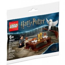 LEGO® 30420 Harry Potter and Hedwig: Owl Delivery (Polybag)