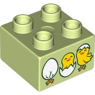 LEGO®  DUPLO®   2x2 HEEL LICHT GROEN