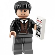 N° 21 LEGO® 71022 Credence Barebone - Complete set
