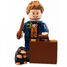 LEGO® nr ° 17  Newt Scamander - Complete Set