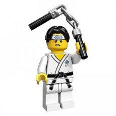 N° 10 LEGO® karate kid